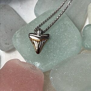 Authentic Alex and Ani  Shark Tooth Necklace